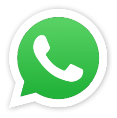 WhatsApp Logo Icon