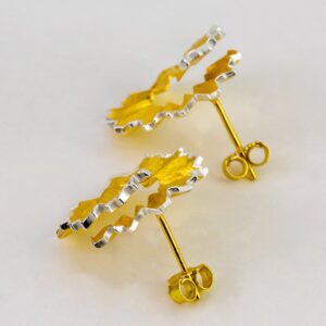 orecchino-cambiamento-005-min